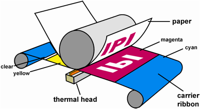 Dye Sublimation