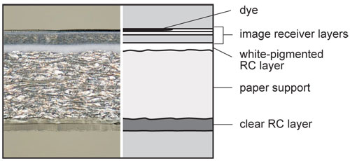 Dye Sublimation