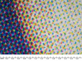 Dry Toner DP: dots with dusty appearance in a rosette pattern