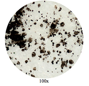 Micrograph of toner particles